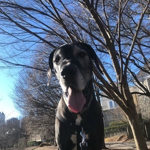 Meet your Posher, Annie